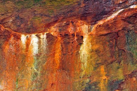 Colorful mineral stains on a limestone wall in a damp canyon in a state park 