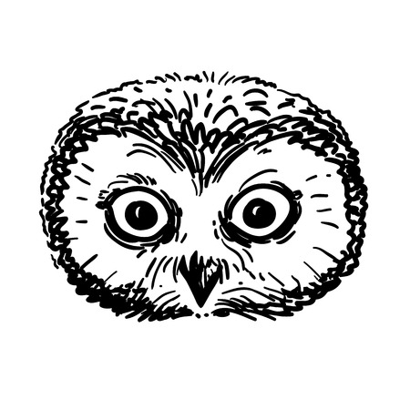 Vector hand drawn black and white illustration of an owl portrait. Retro vintage sketch style, realistic owl face pen and ink drawing. Nature woodland animal bird themed design element.のイラスト素材