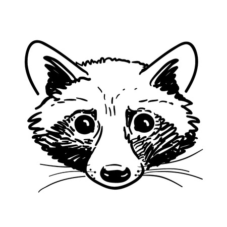 Vector hand-drawn pen and ink black and white cute raccoon face portrait illustration. Nature wildlife themed vintage retro sketch style design element for web and print.のイラスト素材