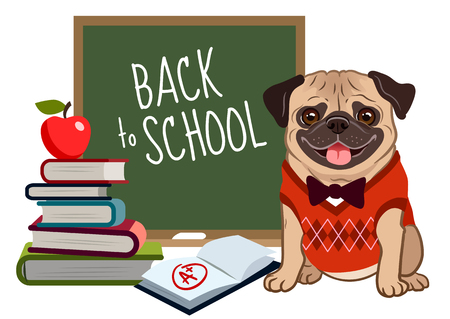 Pug dog back to school cartoon illustration. Cute friendly pug puppy, smiling with tongue out, wearing argyle vest and bow tie, near blackboard, stack of books, textbook with a plus mark, apple.のイラスト素材