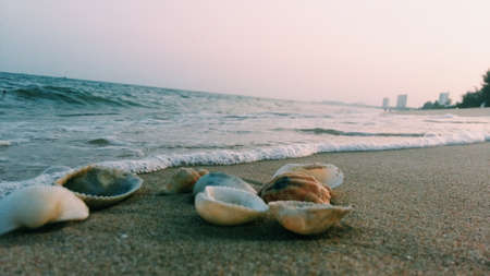 Beach in thailandの写真素材