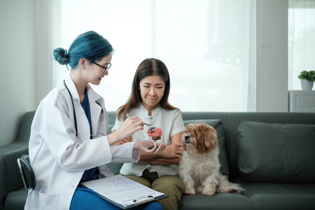 A woman and a dog are sitting on a couch while a doctor looks at the dogの写真素材