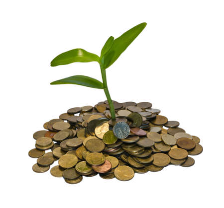 Concept of the money finance の写真素材