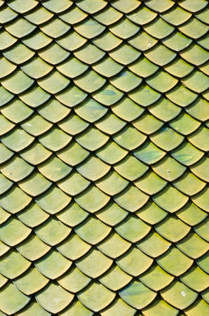 Beauty Green Rooftop, East of Thailand の写真素材