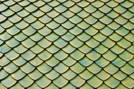 Beauty Green Rooftop, East of Thailand の写真素材