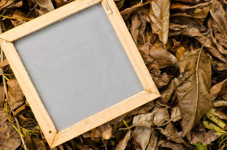 Notepad frame with nature background の写真素材