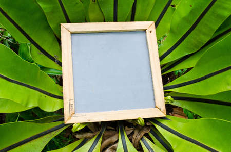 Notepad frame with nature background の写真素材