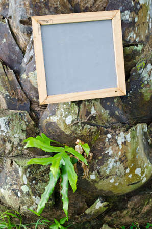 Notepad frame with nature background の写真素材