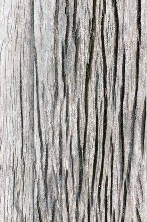 Firewood closeupの写真素材
