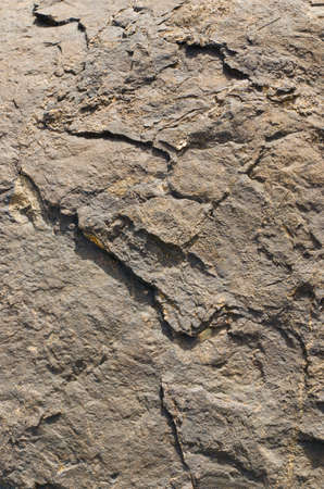Closeup surface of the big rockの写真素材
