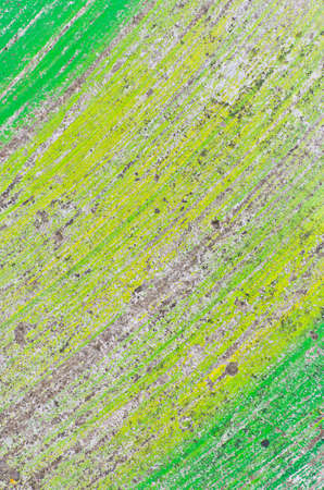 Dirty old green floor for backgroundの写真素材