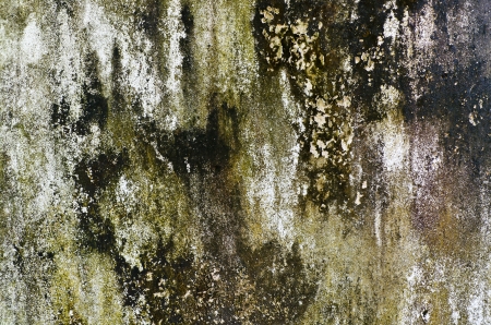  Old rough rusty wall for backgroundの写真素材