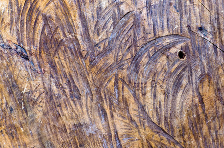 Scratch damage hardwood surface closeup