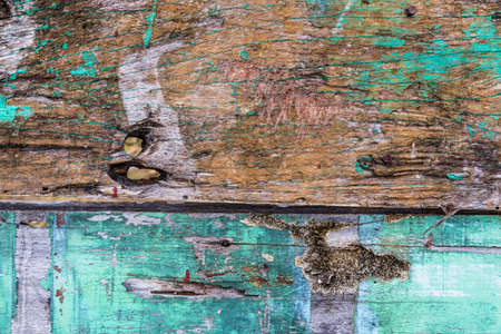 Old rusty color hardwood plank closeup for background useの写真素材