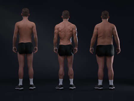3D Render : the diversity of male body shape including  ectomorph (skinny type), mesomorph (muscular type), endomorph(heavy weight type)の写真素材