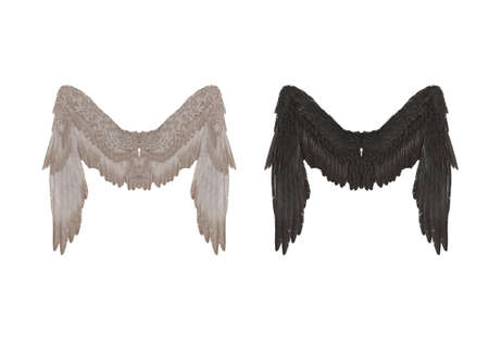 3D Render : Realistic isolated angel wings pair of falcon wings,wings design templateの写真素材