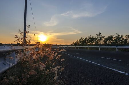 Flower on the way before the sunset, Some roads in Khunhan, Sisaket, Thailandの写真素材