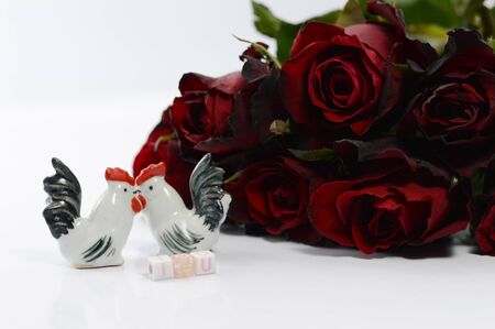 Red roses on a white background,For Valentine's Dayの写真素材