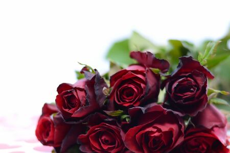 Red roses for Valentine's Day.の写真素材