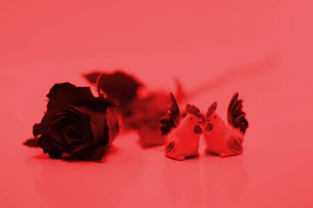 Red roses for Valentine's Day.の写真素材