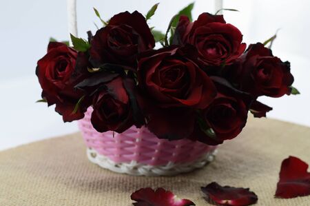 Red roses in a basket on a white background, for Valentine's Day.の写真素材
