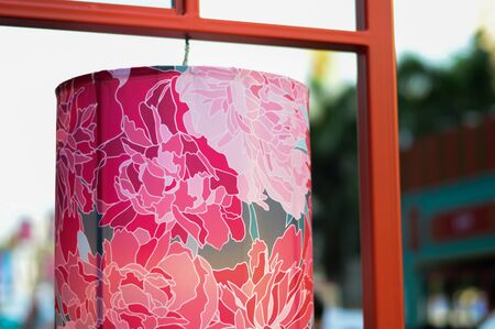 Chinese lantern flowersの写真素材