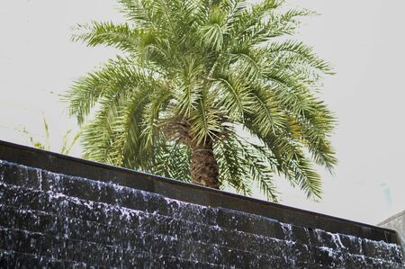 small garden waterfall on the wall of the Buildingの写真素材