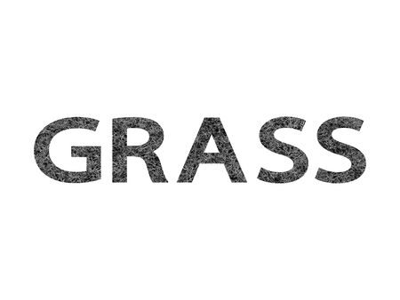 grassの写真素材