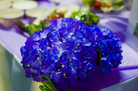 Purple flowersの写真素材