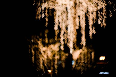 Tree lighting, blur and bokeh.の写真素材