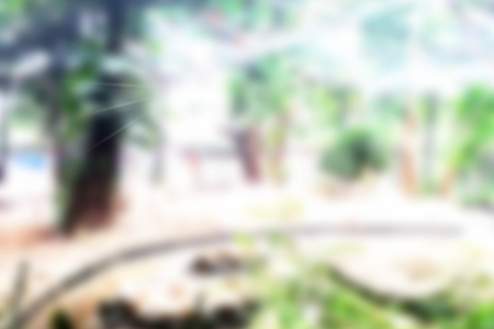blurred photo, Blurry image, Nature park, backgroundの写真素材