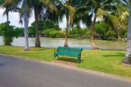 Blurry image, Panoramic View of, Inside the park, Tilt-shift effect applied