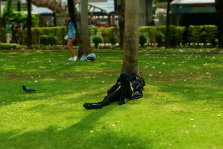 Blurry image, Panoramic View of, 
Inside the park, Tilt-shift 
effect appliedの写真素材