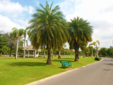Blurry image, Panoramic View of, 
Inside the park, Tilt-shift 
effect appliedの写真素材