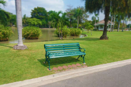 Blurry image, Panoramic View of, 
Inside the park, Tilt-shift 
effect appliedの写真素材