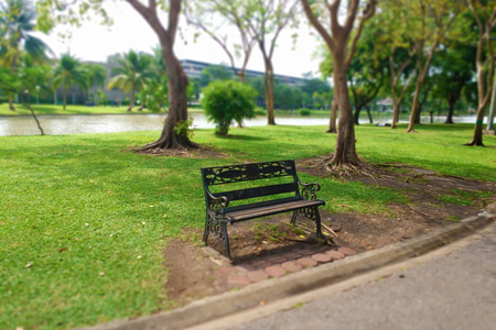 Blurry image, Panoramic View of, 
Inside the park, Tilt-shift 
effect appliedの写真素材