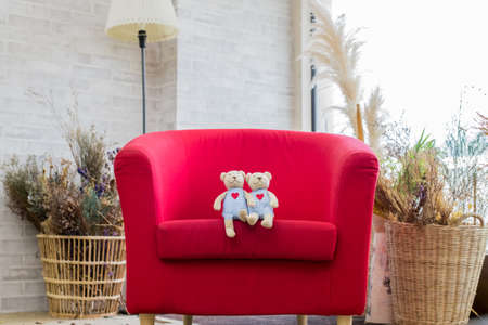 The couple of lover dolls set love scene in the house.の写真素材