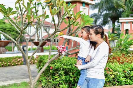 Family Concept. Happy male and female playing with children outside. Family is doing happy activities at Playground.  Parents are playing happily.の写真素材