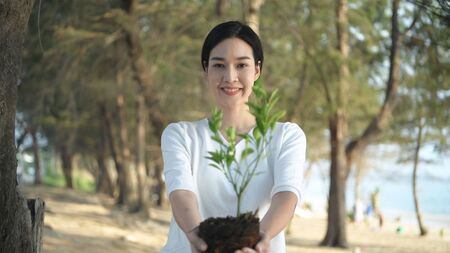 Forest planting concept. A beautiful woman was extending a tree in front of her. 4k Resolution.