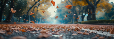 Autumn maple leaves falling on the city street.の素材