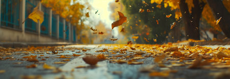 Autumn maple leaves falling on the city street.の素材