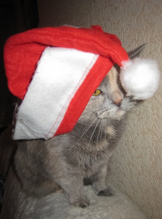 new yearの写真素材