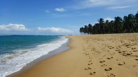 Paradisiacal landscape in Praia de Gunga, Brazil.の写真素材