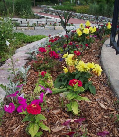 Flowerbed In The Parkの写真素材