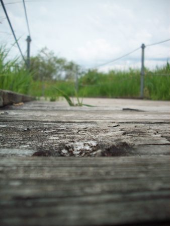 Boardwalk Through Wetlandの写真素材
