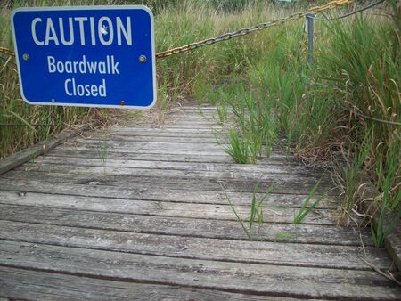 Boardwalk Through Wetlandの写真素材