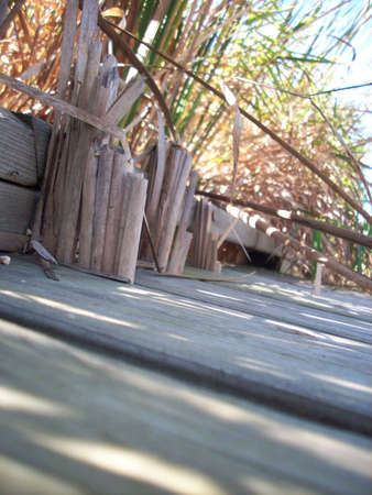 Boardwalkの写真素材