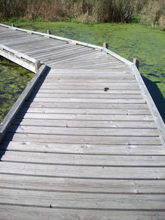 Boardwalkの写真素材