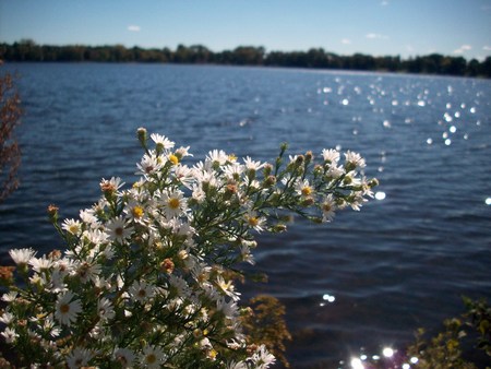 Lake Shorelineの写真素材