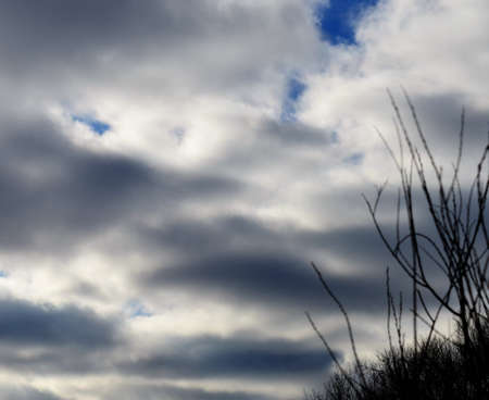 Cloudsの写真素材